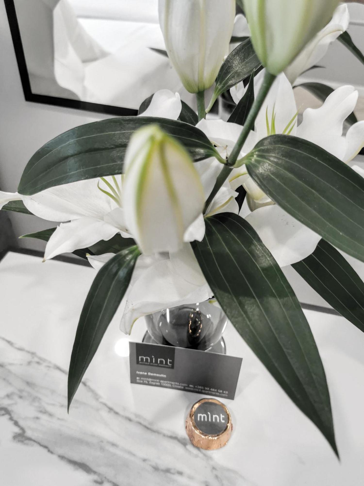 Mint Boutique Studio Apartments ザグレブ エクステリア 写真